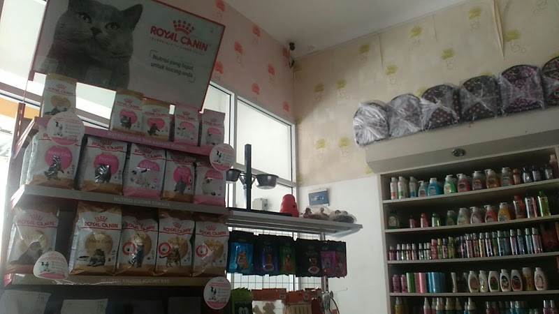 Putra Karang Pet Shop: Jantung Hati Hewan Peliharaan di Cilacap